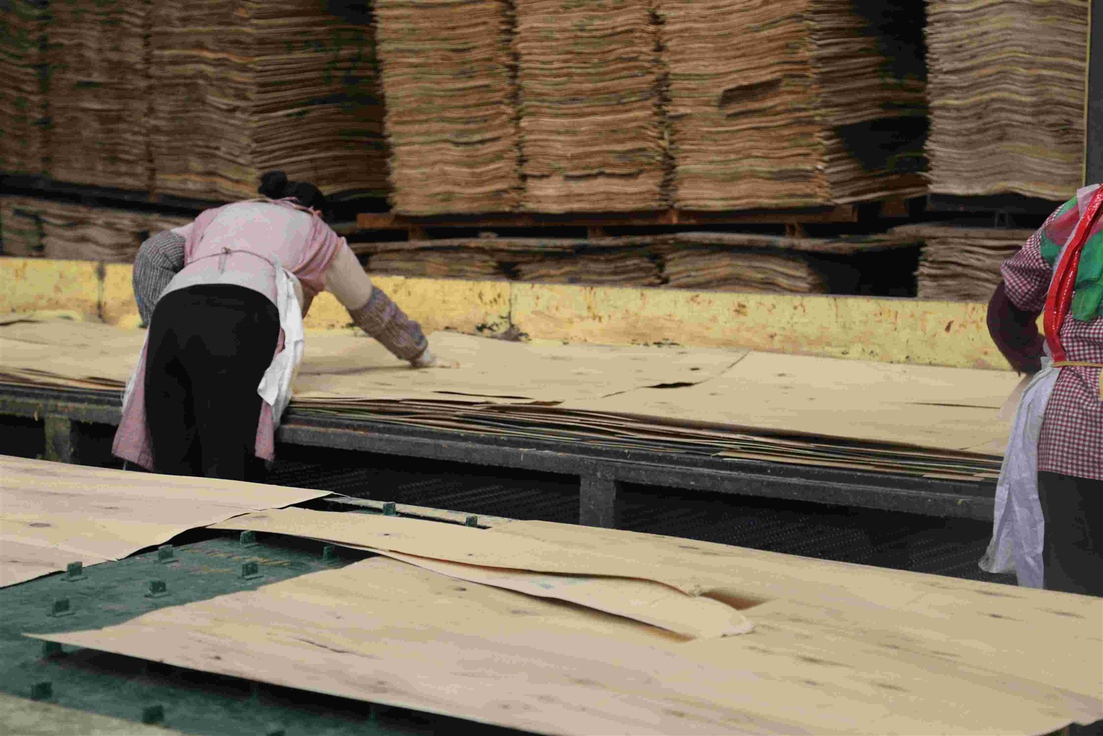 product-4378-2919 product-4378-2919